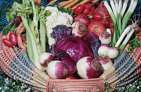 8 mitova o hrani i zdravlju